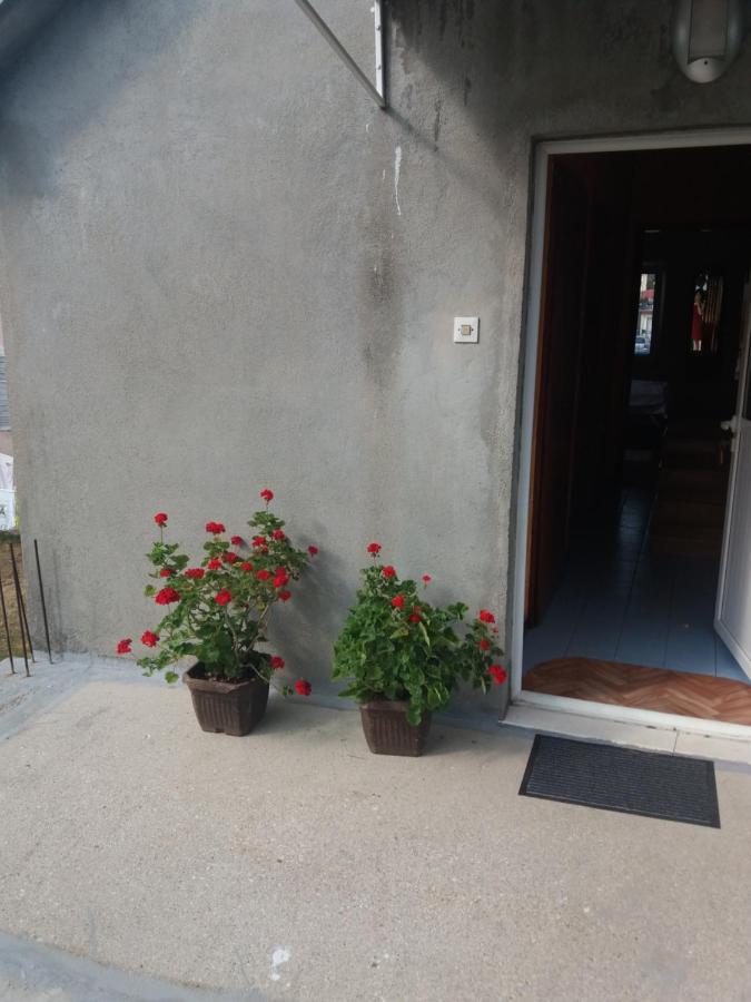 Apartman Mila I Kaja Нікшич Екстер'єр фото